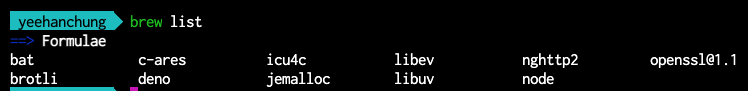 brew list -g